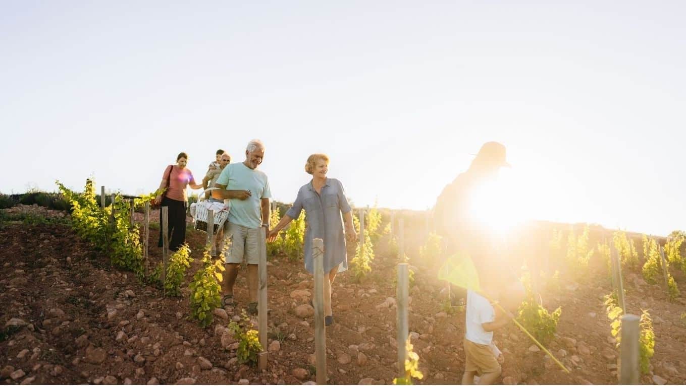 Design sans titre - 1