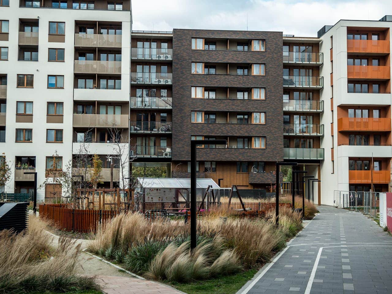 pexels-shox-34360412-2